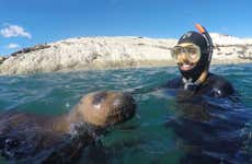 Batismo de mergulho e snorkel com leões-marinhos em Punta Loma