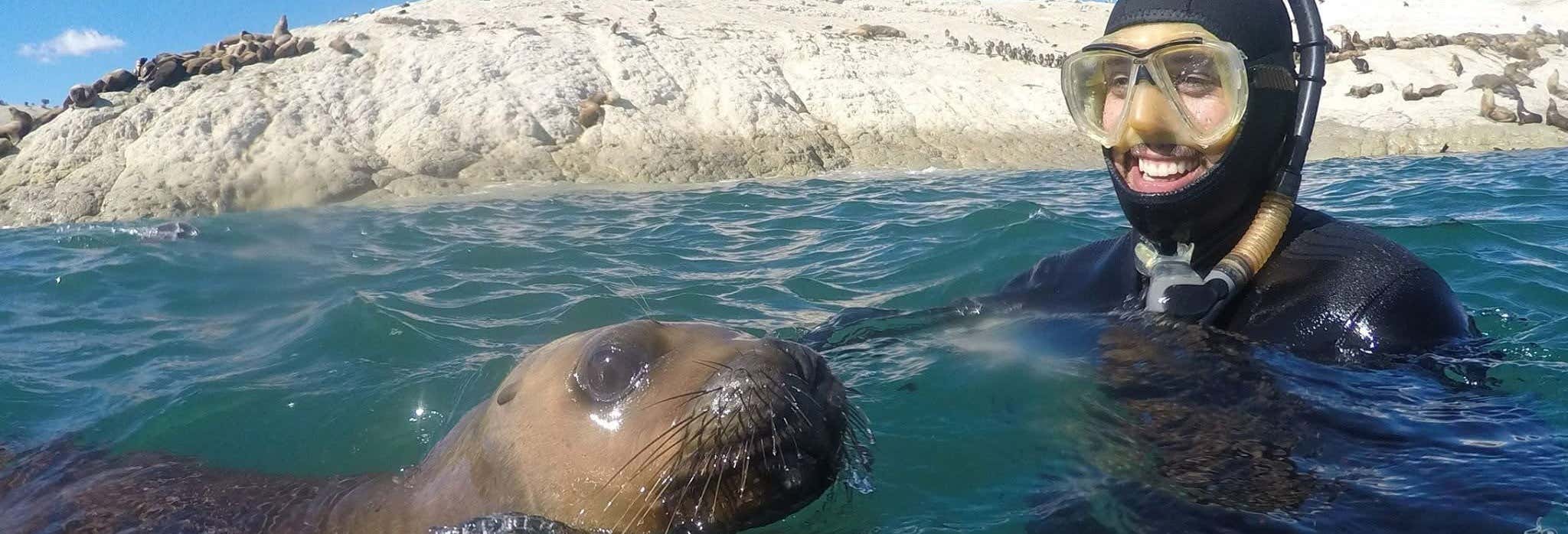 Immersione per principianti e snorkeling con i leoni marini a Punta Loma