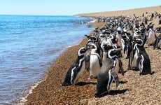 Excursão à Estancia San Lorenzo
