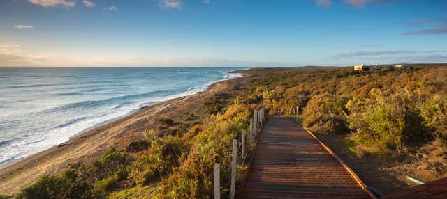 Escursione al Nord della Penisola di Valdés