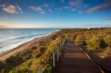 Valdes Peninsula Day Trip