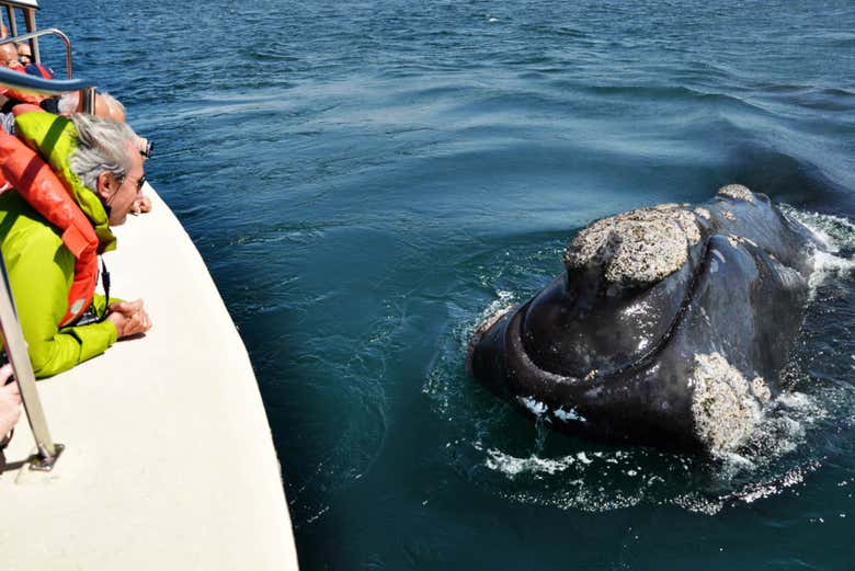 Imagen 2