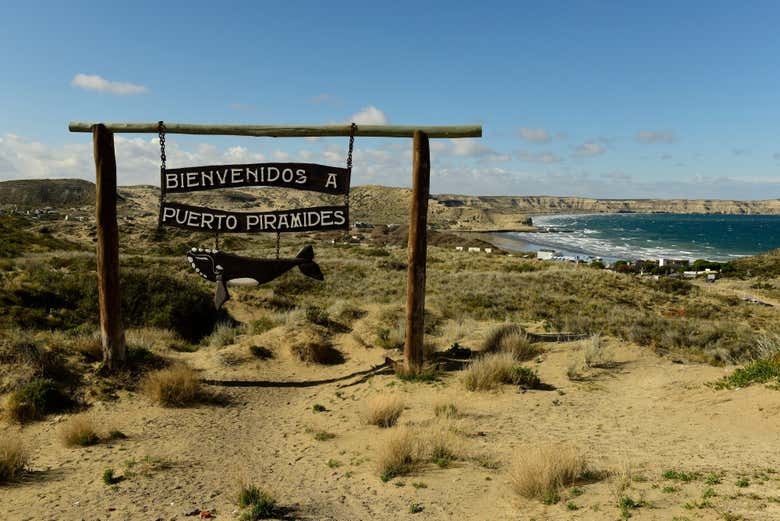 Imagen 8