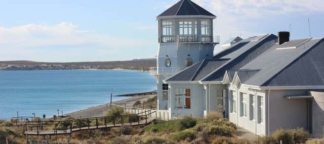 Tour di Puerto Madryn per croceristi