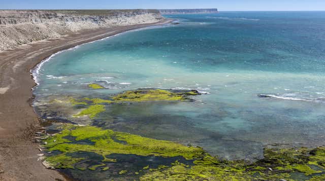 Puerto Pirámides