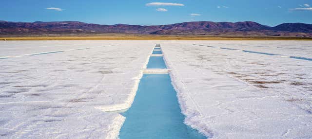 Escursione alle Salinas Grandes