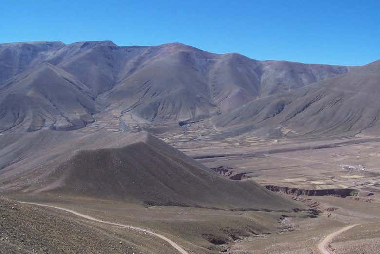Imagen 7