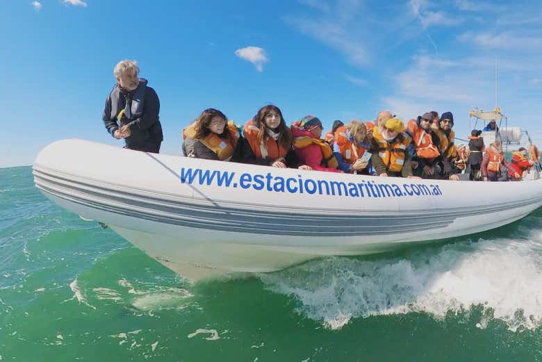 Imagen 6