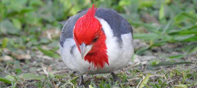 Birdwatching nella tenuta di San Rafael