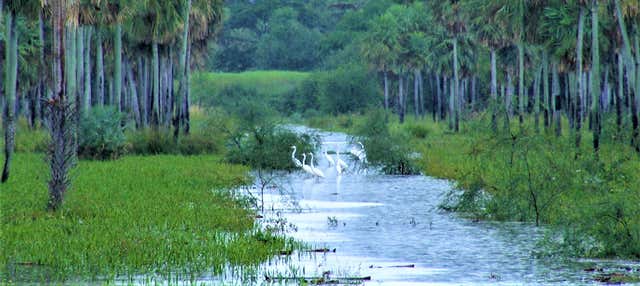 Escursione privata al Parco nazionale Chaco