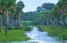 Excursão privada ao Parque Nacional Chaco