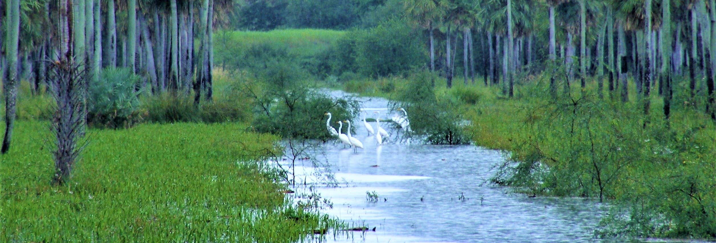 Escursione privata al Parco nazionale Chaco