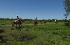 Horseback Riding at San Rafael Estate