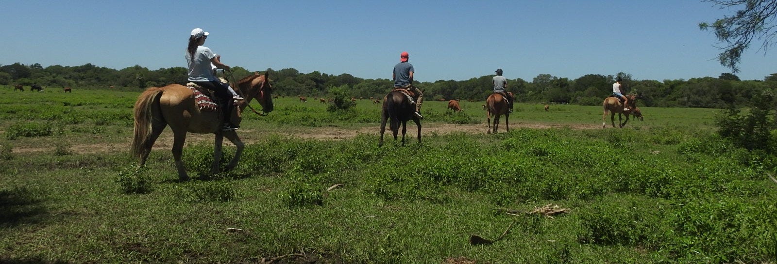 Horseback Riding at San Rafael Estate