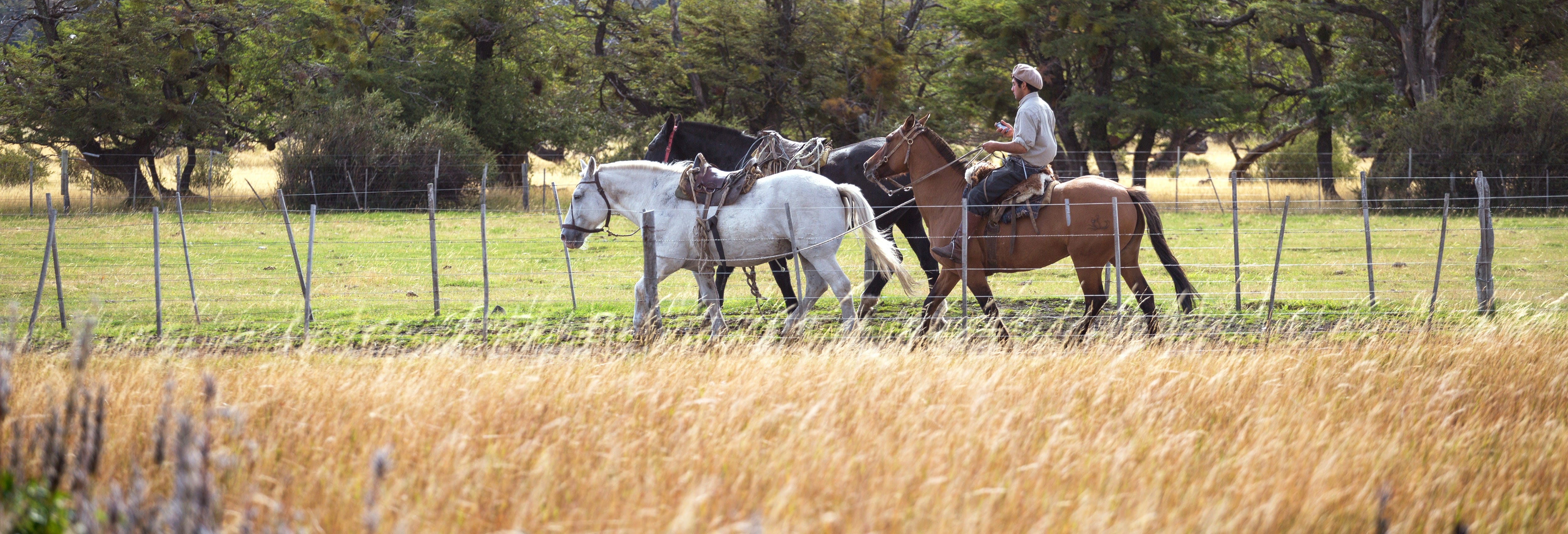 El Naranjo Horse Riding Activity