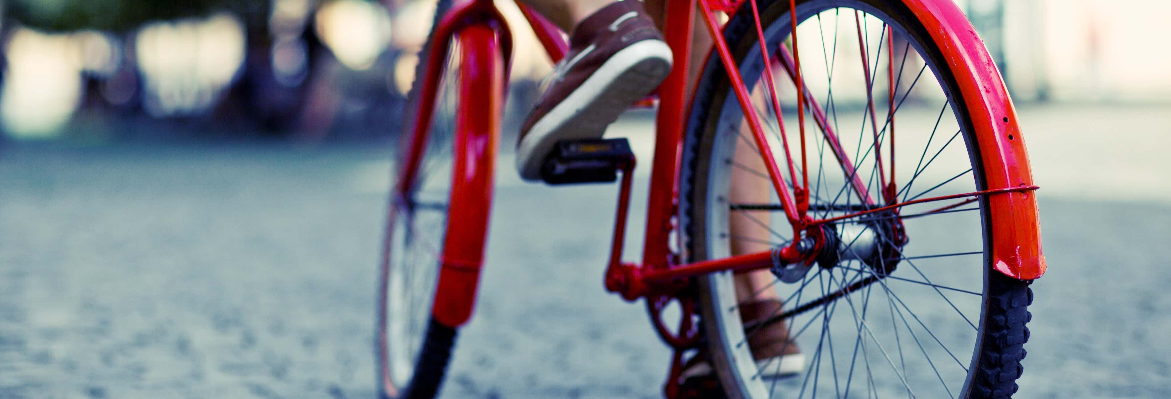 Bike Rental in Salta