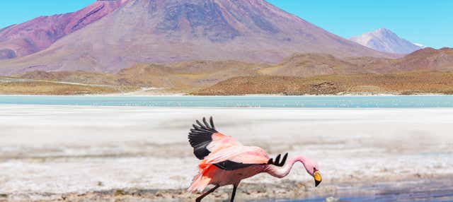 Escursione alla laguna del Toro