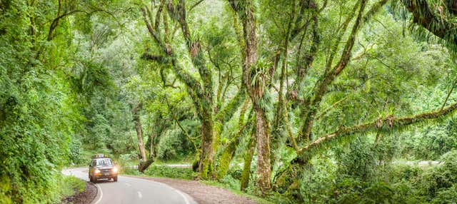 Escursione al Parco Nazionale El Rey
