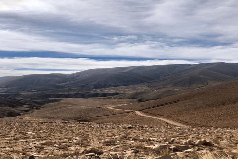 Imagen 3