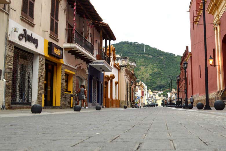 Imagen 6