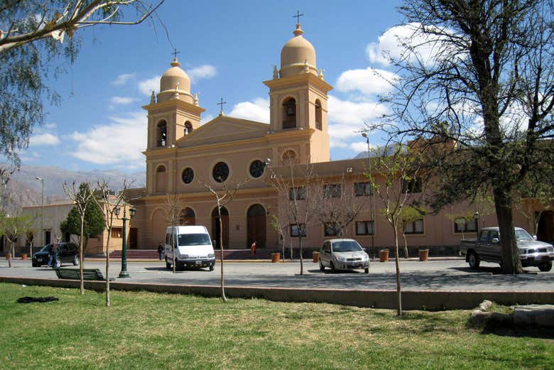 Imagen 5