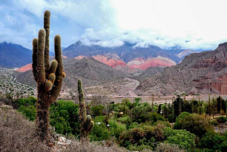 Imagen 6