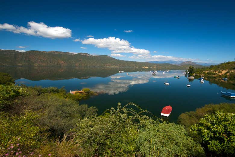 Imagen 5
