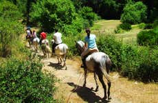 San Lorenzo Natural Reserve Horseback Riding