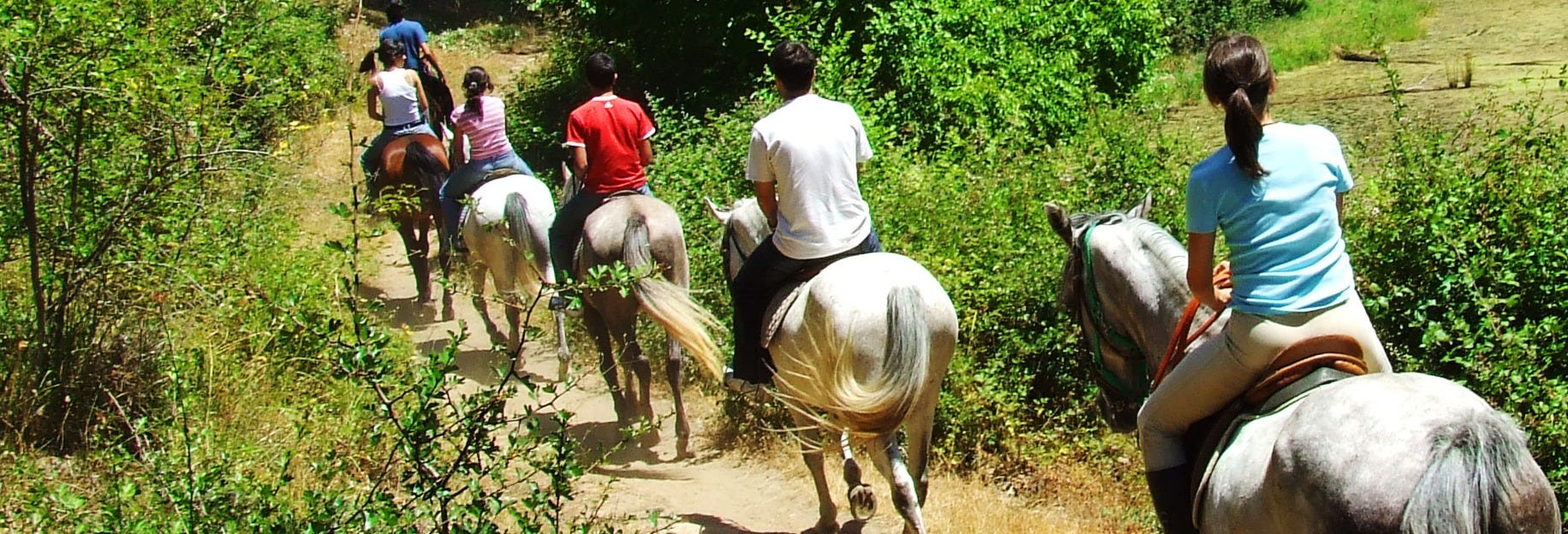 San Lorenzo Natural Reserve Horseback Riding