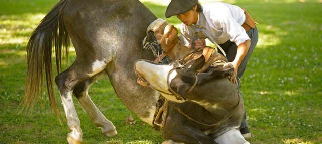 Esperienza con i gauchos di San Antonio de Areco