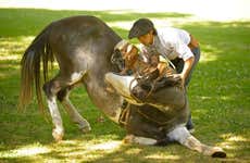 Gaucho Cultural Experience Tour