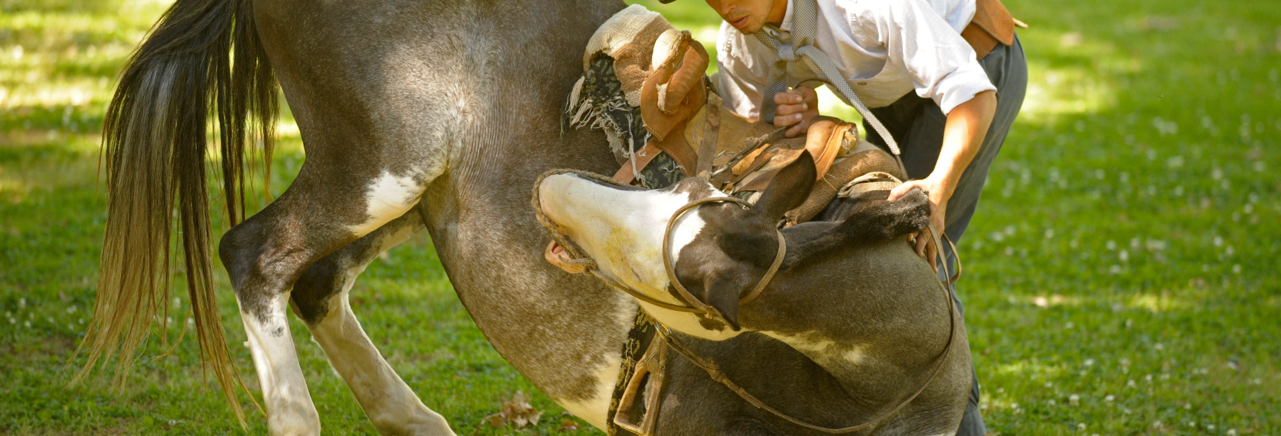 Gaucho Cultural Experience Tour