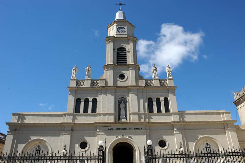 Imagen 6