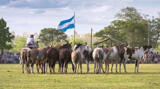 San Antonio de Areco