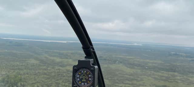 Escursione privata all'isola di Martín García in elicottero
