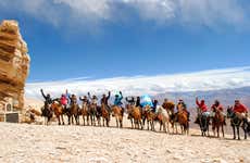 8-Day Crossing of the Andes on Horseback