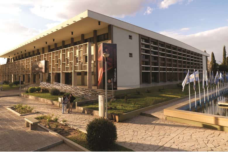 Imagen 5