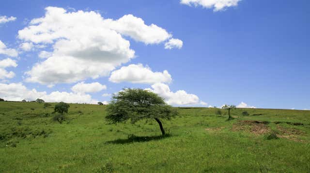 San Lorenzo