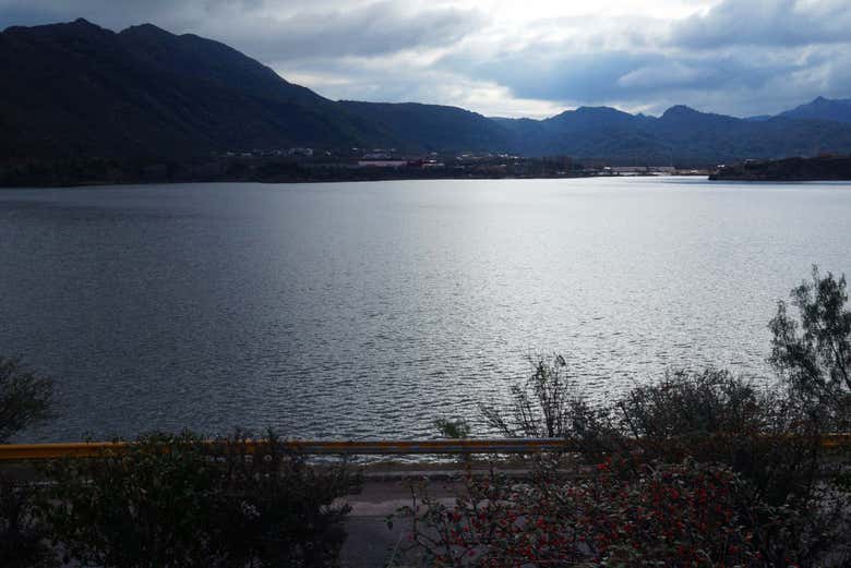 Imagen 7