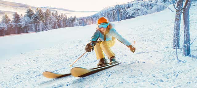 Alquiler de equipo de esquí o de snowboard para Cerro Chapelco