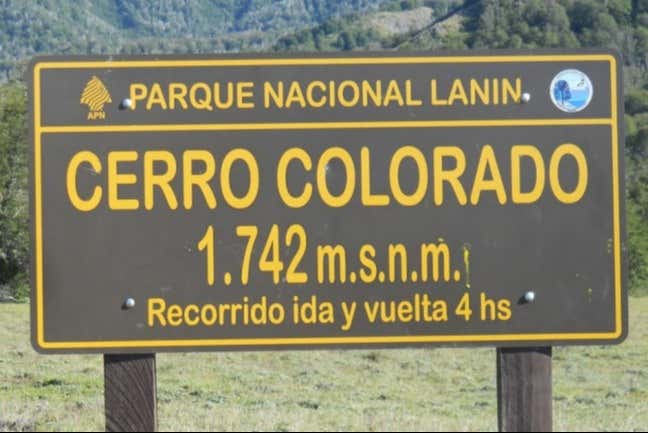 Imagen 4