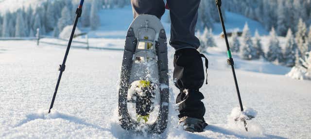 Paseo con raquetas de nieve por el cordón de Chapelco