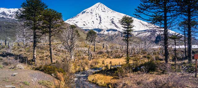 Trekking al vulcano Lanín