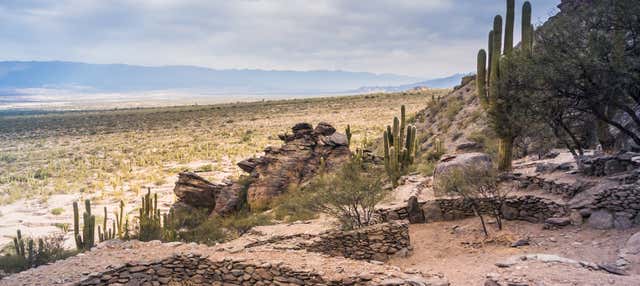 Escursione a Tafí del Valle e rovine di Quilmes + Visita a una cantina