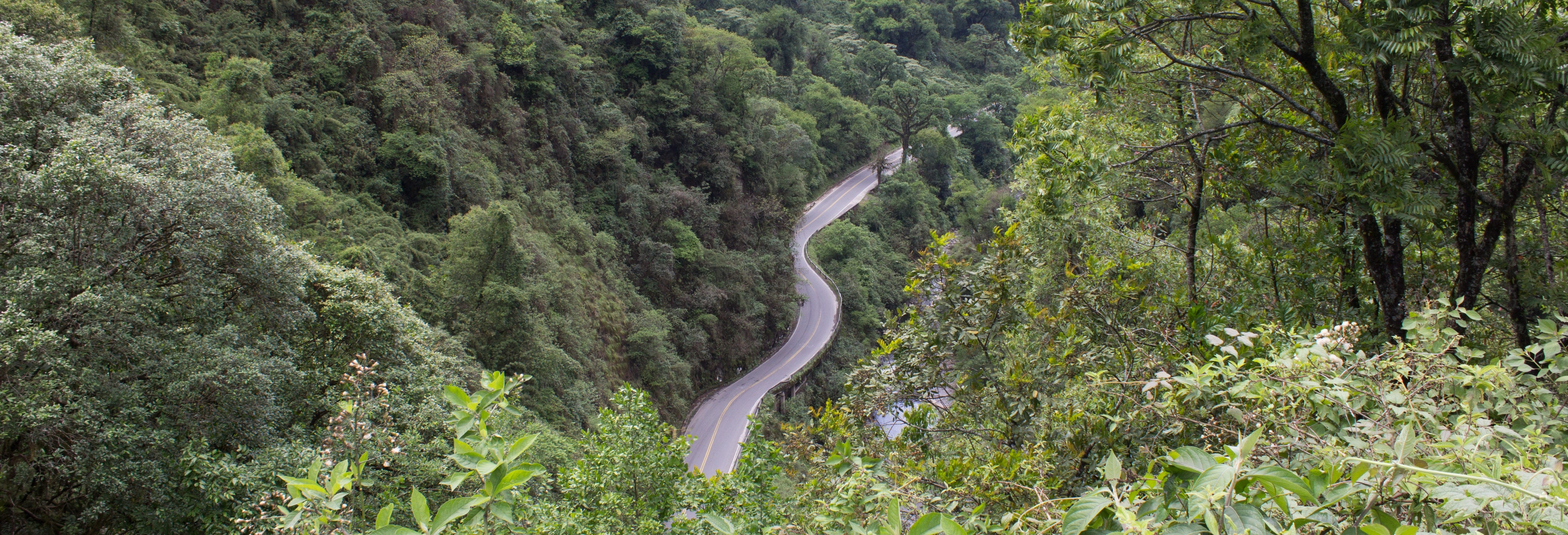 Yungas of Tucumán Day Trip