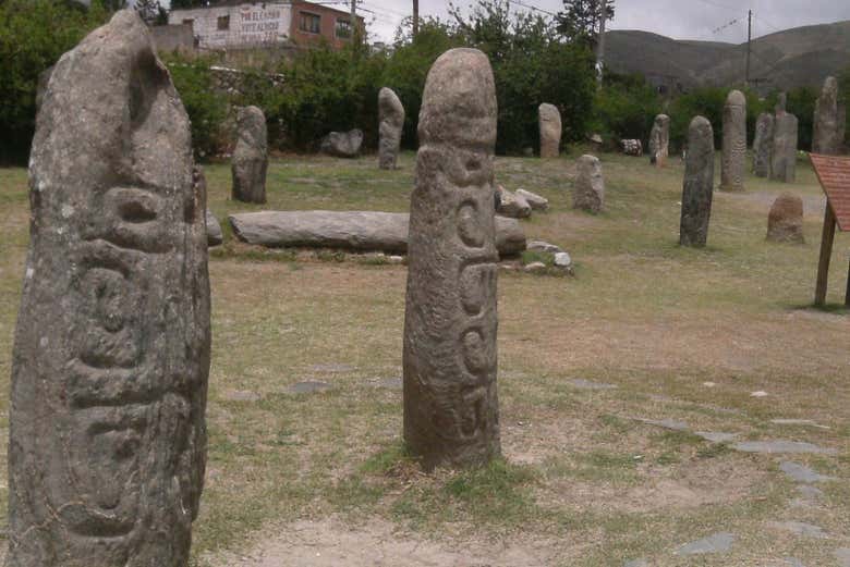 Imagen 6