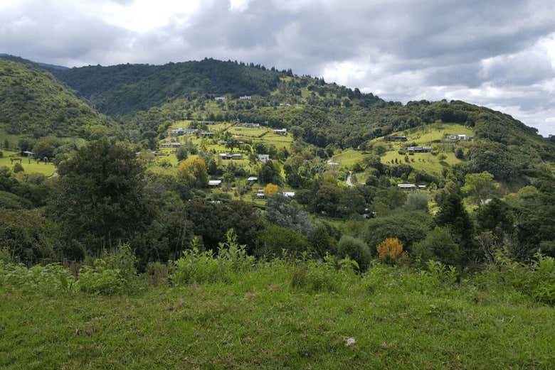 Imagen 5