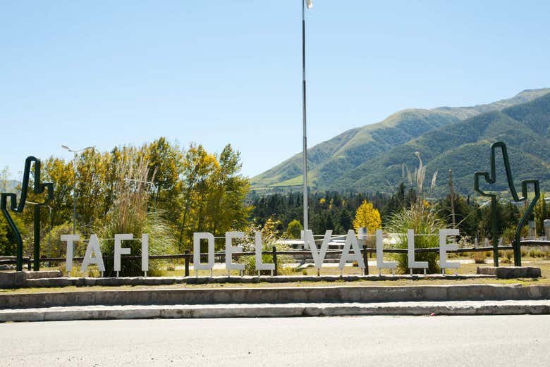 Imagen 2