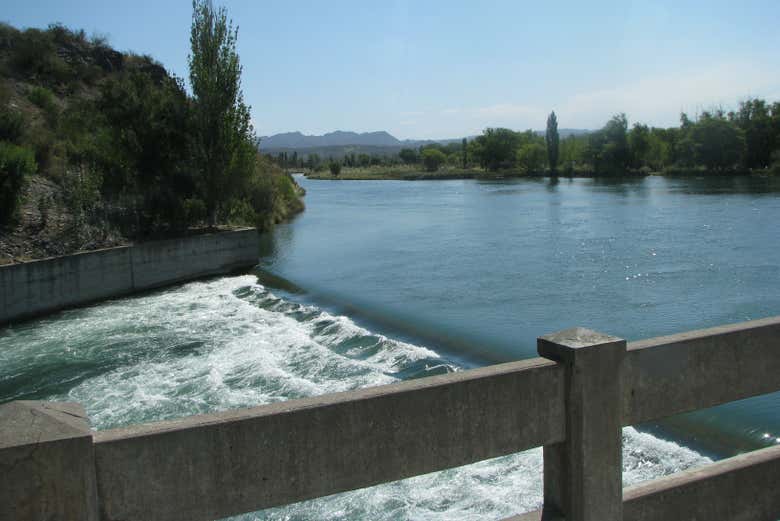 Imagen 7