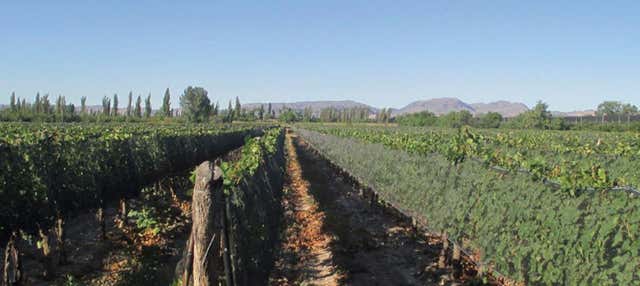 Visita alle cantine El Nevado e Fow